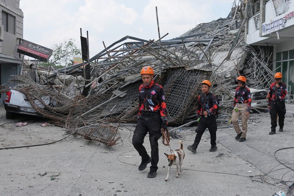 K9 units join rescuers as they continue search operations at a collapsed building in Angeles city in Pampanga province, north of Manila Monday, May 25, 2026. (AP Photo/Aaron Favila)
Philippines Buildi ...