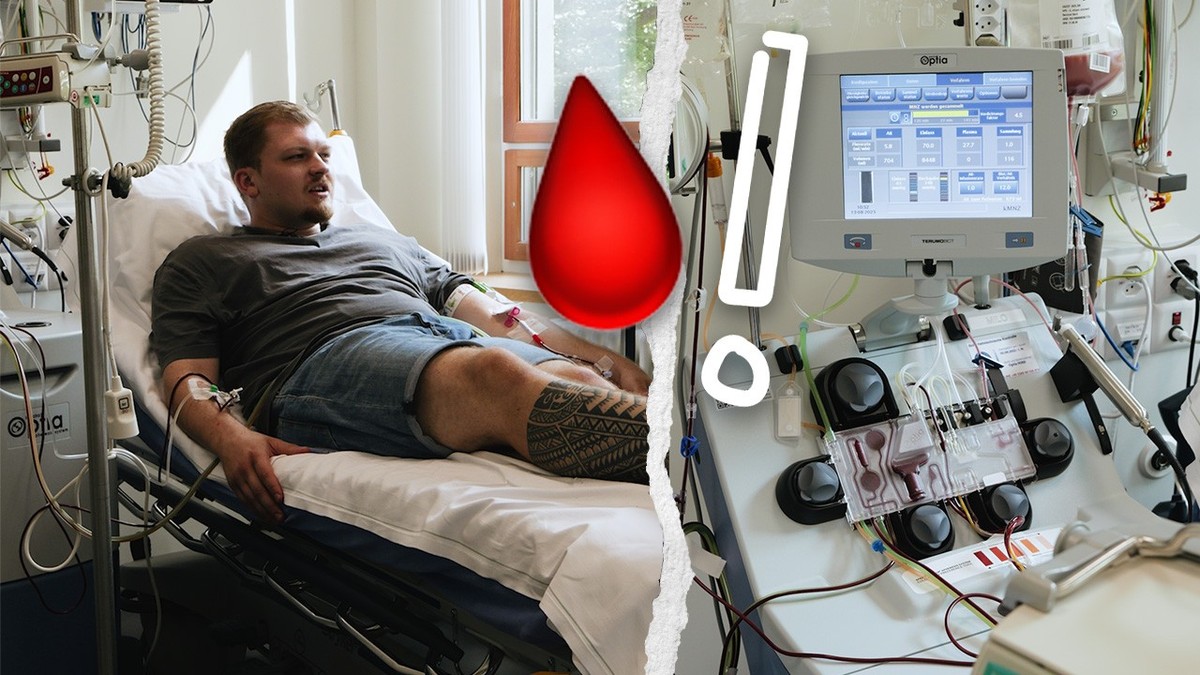 W-rdest-du-ein-Leben-retten-Wir-waren-bei-einer-Blutstammzellspende-dabei