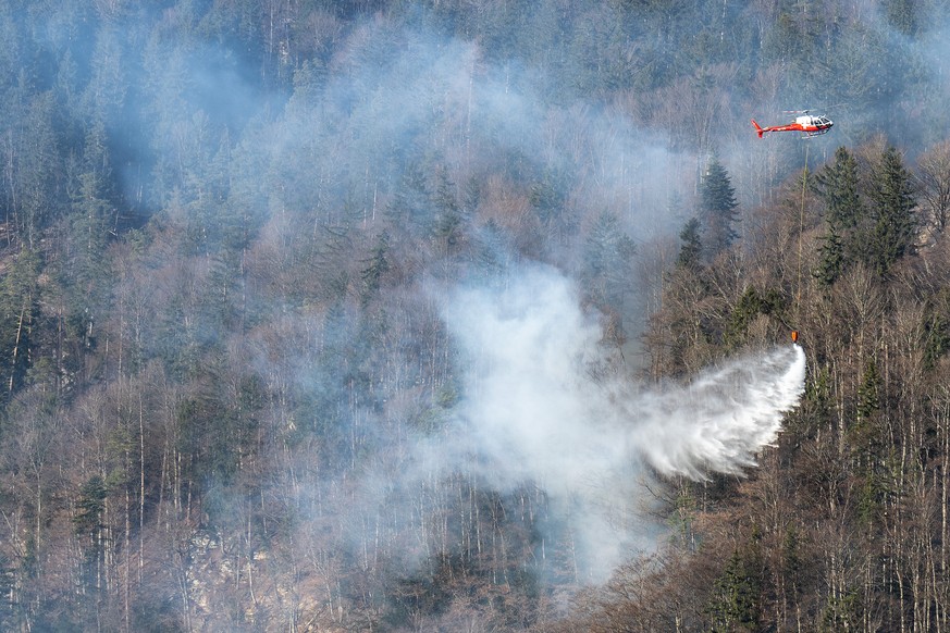 Helikopter bekaempfen mit Wasser einen Waldbrand im Ortsteil Hausen, am Sonntag, 13. Maerz 2022, in Meiringen. Starker Foehn erschwert die Loescharbeiten. (KEYSTONE/Peter Schneider)
