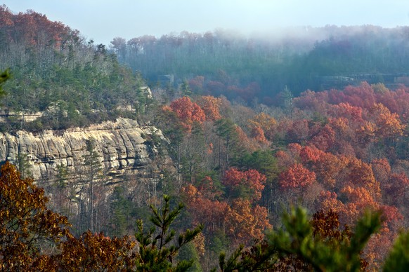 Wild schöne Landschaft in Kentucky: Der BiG South Forke National Park.