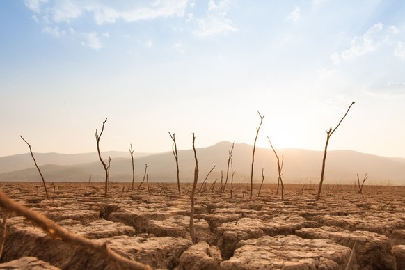 Der Klimawandel macht sich überall bemerkbar. Hier ein Bild einer Dürre in Äthiopien.
