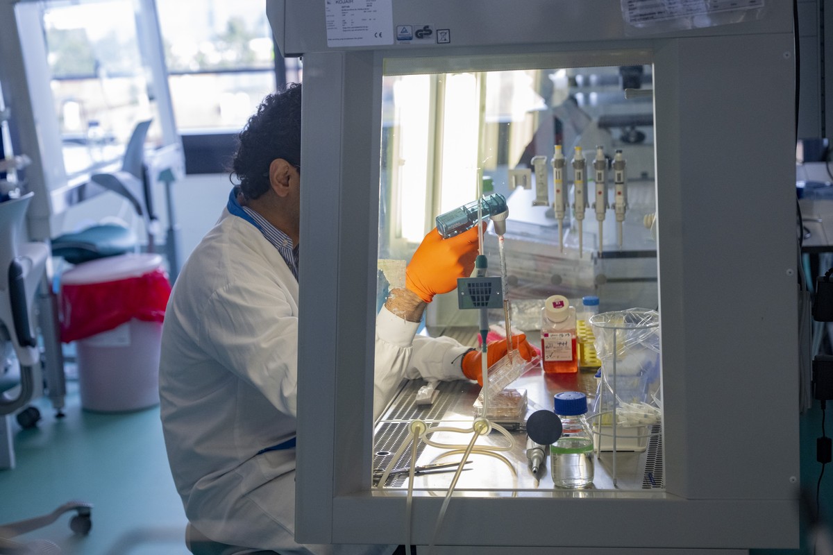 KEYPIX - Ein Forscher bei seiner Arbeit im neuen Labor im Institut of Humen Biology, anlaesslich der Eroffnung des neuen Institue of Human Biology (IHB) im Roche Areal in Basel am Montag, 23. Maerz 20 ...