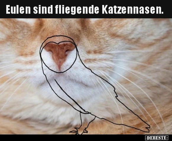 Ferien! Alle weg! Nur einer bleibt: PICDUMP ЁЯЩГ
Hier noch ein interessanter Fakt ЁЯдФ