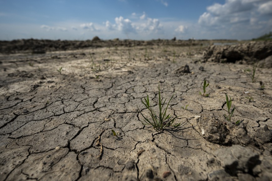 Cracked and dry land is visible near construction of a battery factory for electric vehicles built by China-based Contemporary Amperex Technology Co. Limited (CATL) in Debrecen, Hungary on Tuesday, Ma ...