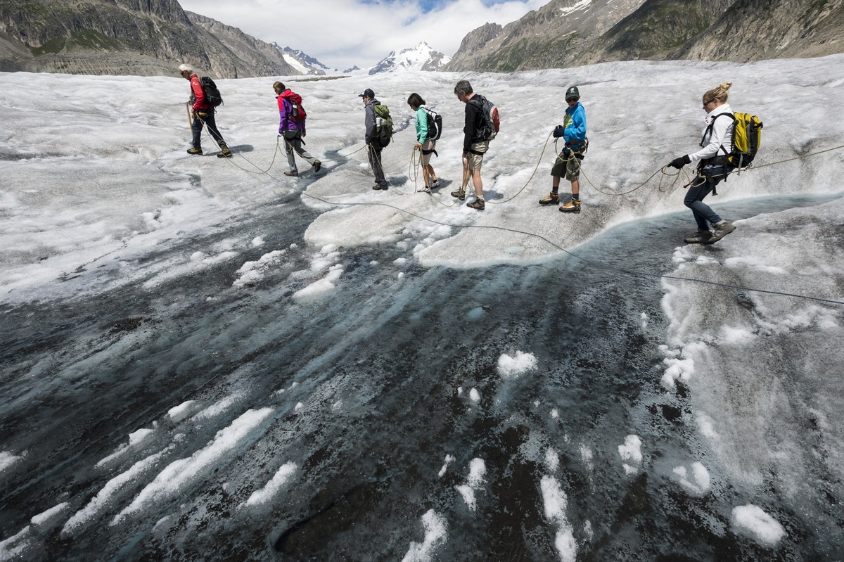 Tourists during a guided tour on the Aletsch glacier, in Fiesch, Switzerland, Tuesday, July 28, 2015. With 23 kilometers is the Aletsch glacier the longest glacier of Europe and belongs to the UNESCO  ...