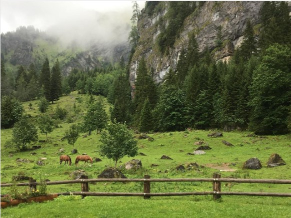 Pont de Nant