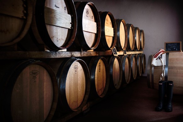 Wein Terreni alla Maggia