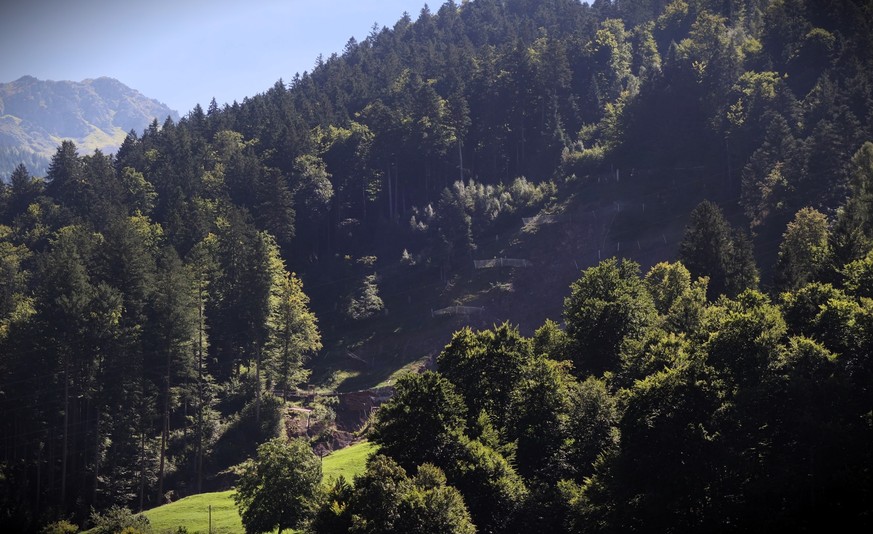 Bilder vom Erdrutsch in Schwanden (GL) vom 04.09.2023. Interview mit Geologe Mark Feldmann