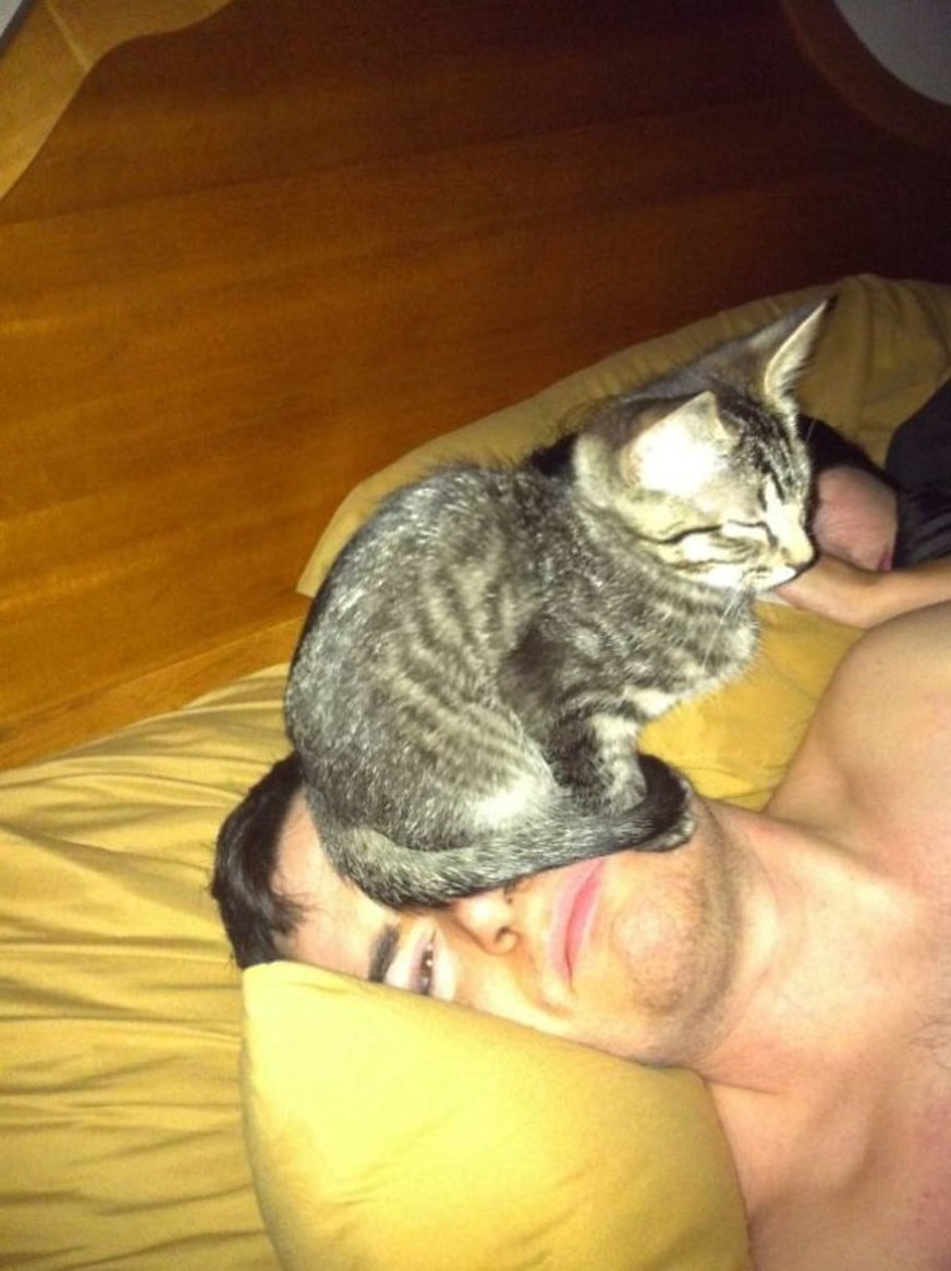 Zum Welttag des Stubentigers: 14 Gründe, warum du UNBEDINGT eine Katze brauchst 