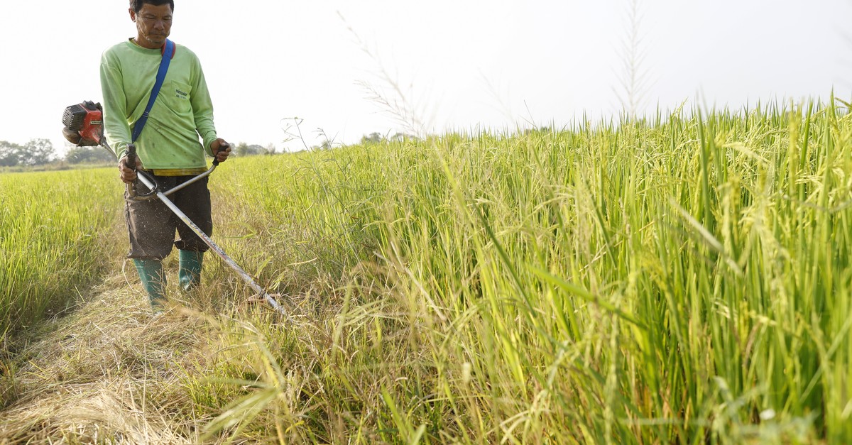 Wie Trumps Iran-Krieg die Wirtschaft noch schocken wird