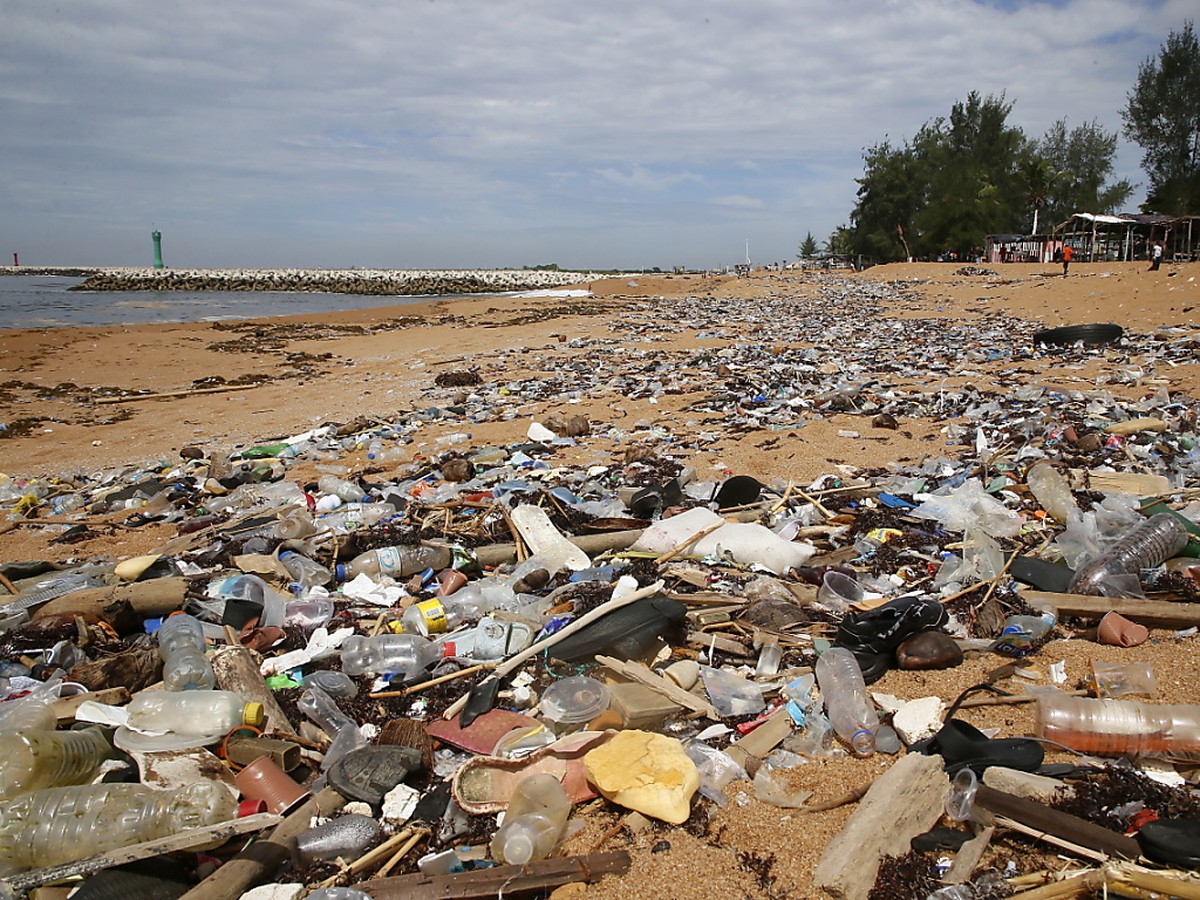 Les ONG exigent que les grandes marques en finissent avec le plastique � usage unique et s'engagent pour un trait� mondial ambitieux sur le plastique (image d'illustration).