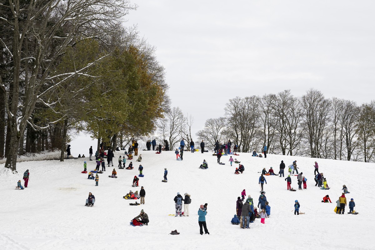 Personen fahren Schlitten und geniessen den frisch gefallenen Schnee auf dem Hausberg Berns, dem Gurten, am Samstag, 23. November 2024 in Koeniz. (KEYSTONE/Anthony Anex)