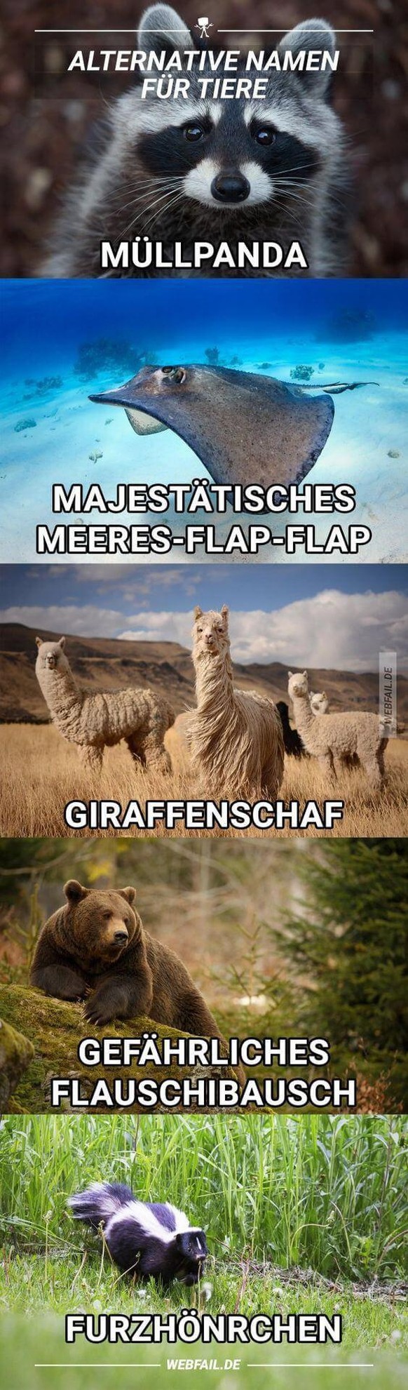 Wenn du den PICDUMP ganz fertig schaust, scheint morgen die Sonne! ☝️\nMir würden hier noch spontan ein paar mehr einfallen.