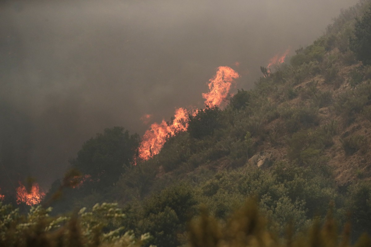 epa11124899 A fire burns a hillside during the forest fires affecting Vina del Mar, Valparaiso Region, Chile, 03 February 2024. The fires in the central region of Valparaiso have caused at least 19 de ...