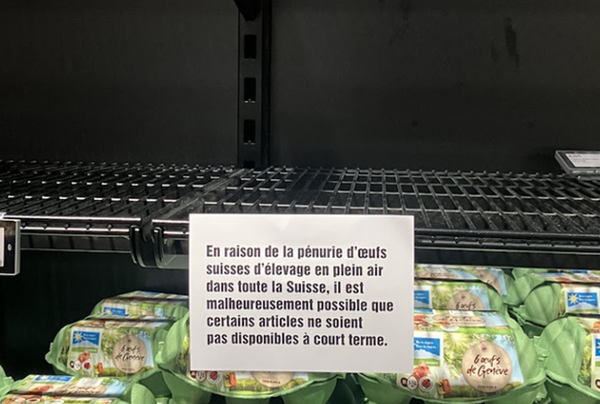 «Aufgrund des Mangels an Schweizer Freilandeiern in der ganzen Schweiz ist es leider möglich, dass einige Artikel kurzfristig nicht verfügbar sind», heisst es in einer Genfer Migros-Filiale.