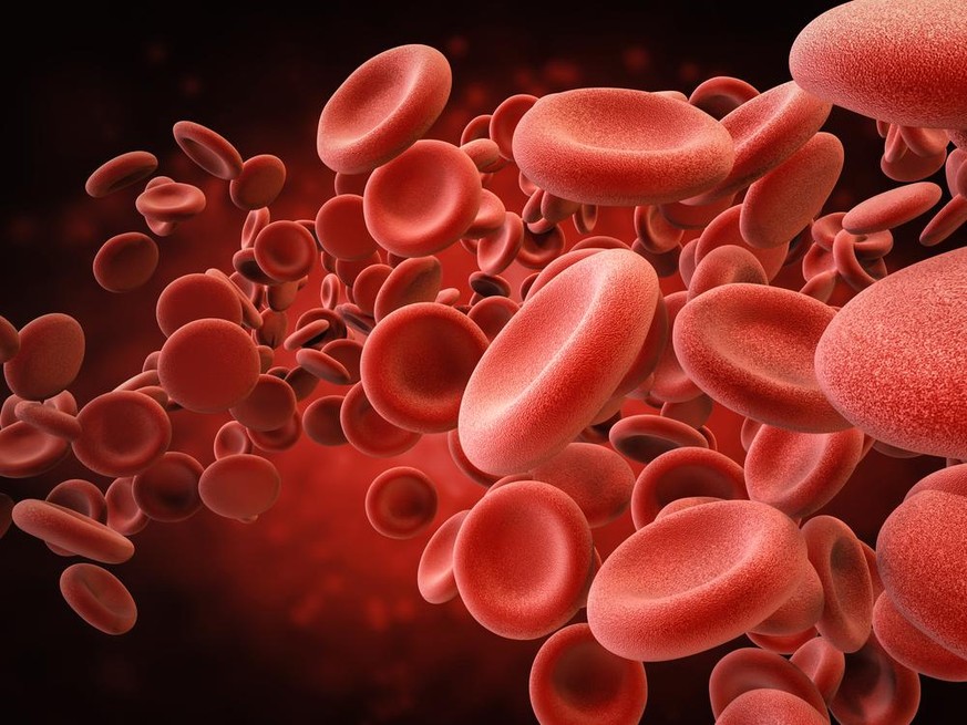 Erythrozyten, rote Blutkörperchen