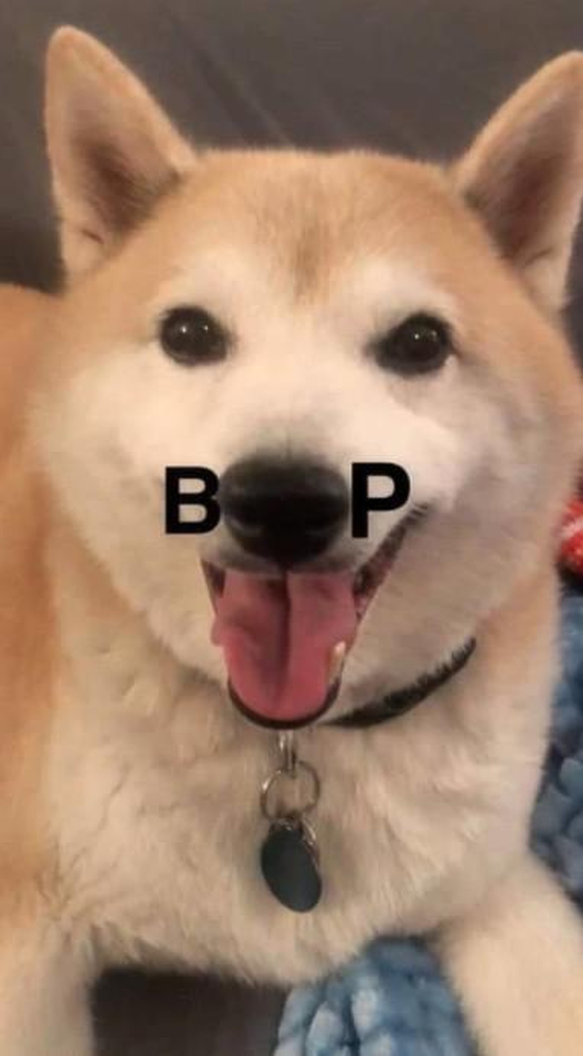 Cute News