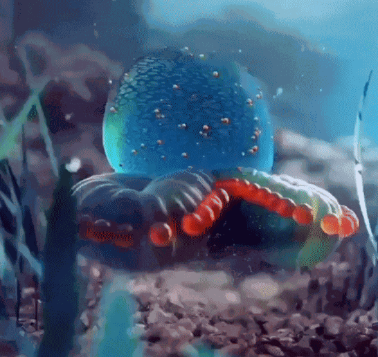 Animated GIF