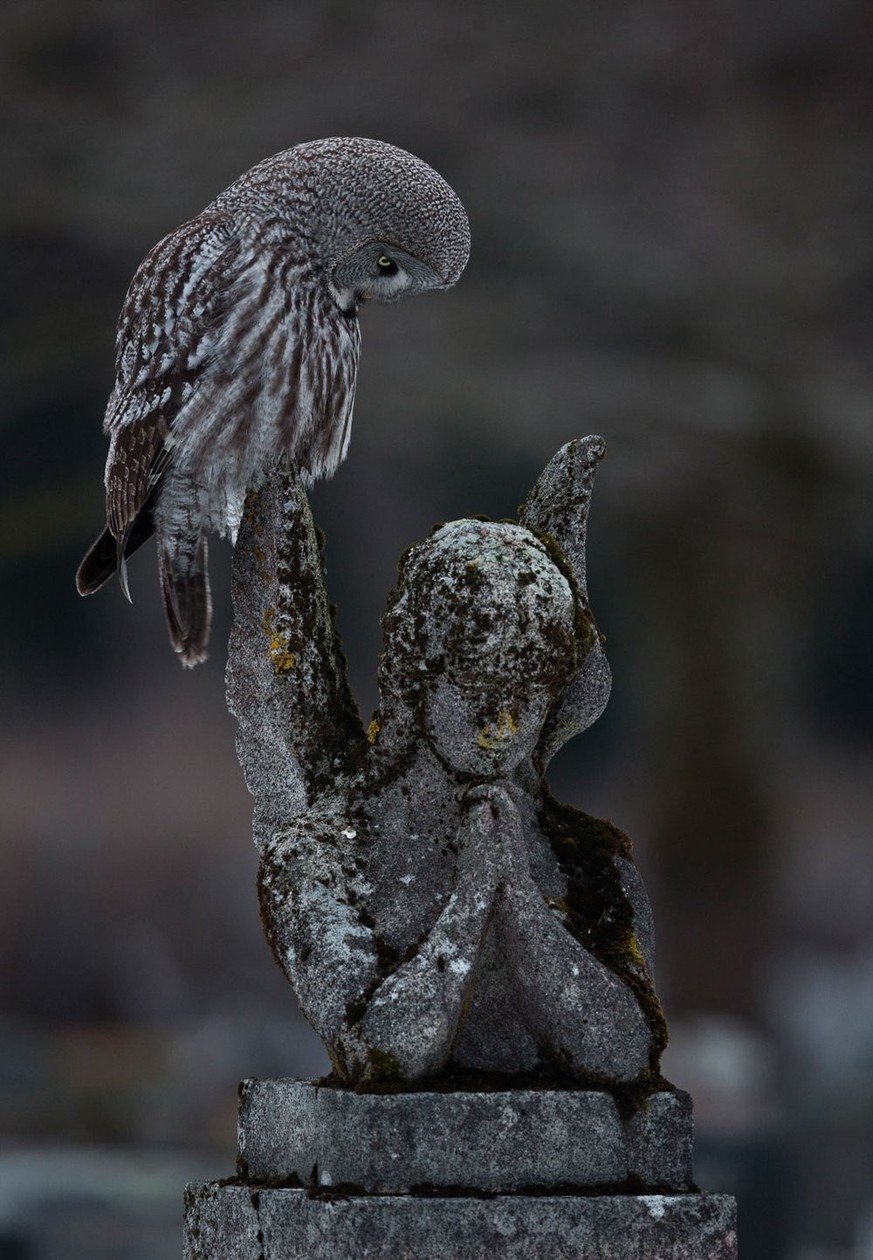 A moment of prayer' by Arto Leppänen