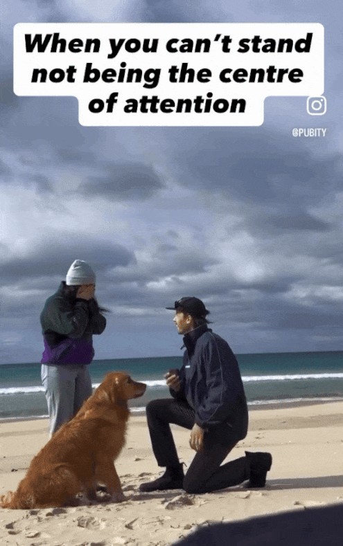 Animiertes GIF