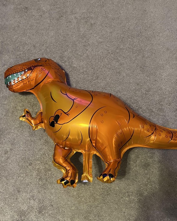 Design-Fail: Die Dinosaurier-Ballons für den Geburtstag meines Sohnes waren anatomisch korrekt!