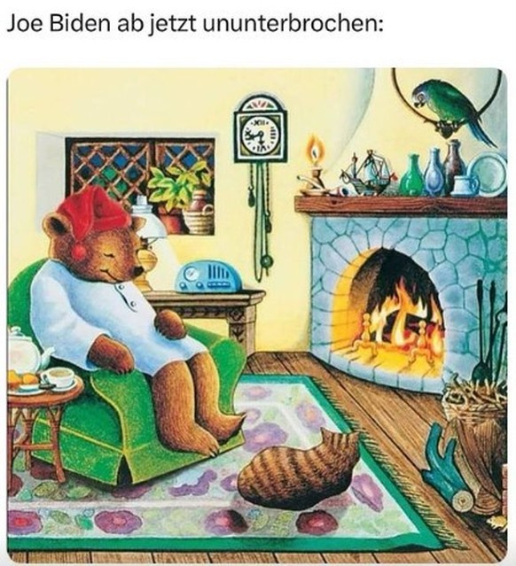 Joe Biden Meme Rücktritt