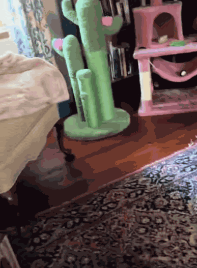Animiertes GIF