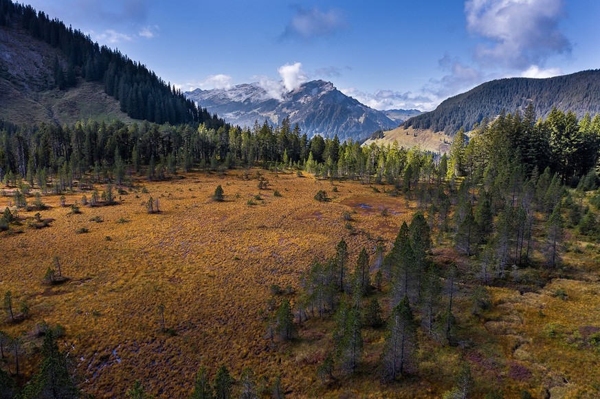 Rauszeit Herbstwanderungen Fürstein Sewenseeli Moorlandschaft_Moor_zwischen_Staeldeli_und_Sewenseeli_Fluehli