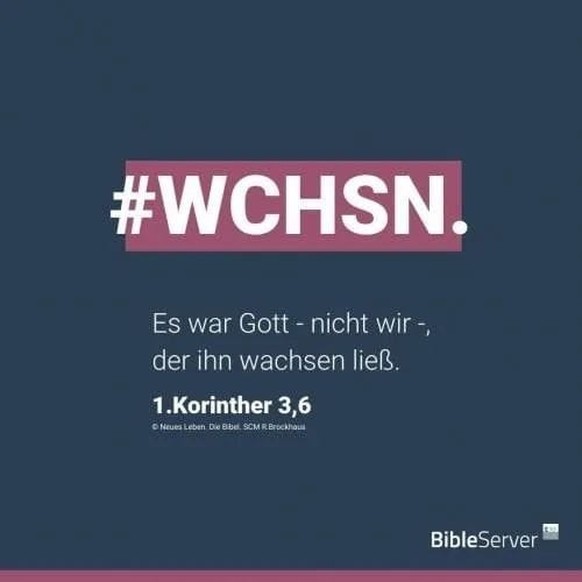 Picdump 36 вЂ“ Du musst kein Chinesisch kГ¶nnen, um diese Top-Memes zu verstehen\nIch bin fundamental Atheist, aber manche Dinge kann ich respektieren! рџ‘Џрџ‘Џ
