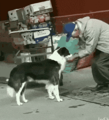 Animiertes GIF