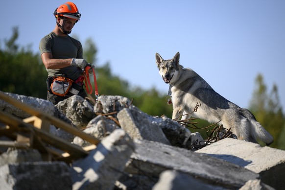 epa10079486 A sniffer dog and his master from Switzerland search for a person in the rubble of a house during a training exercise of the Swiss volunteer organization, REDOG, Search and Rescue Dog Soci ...