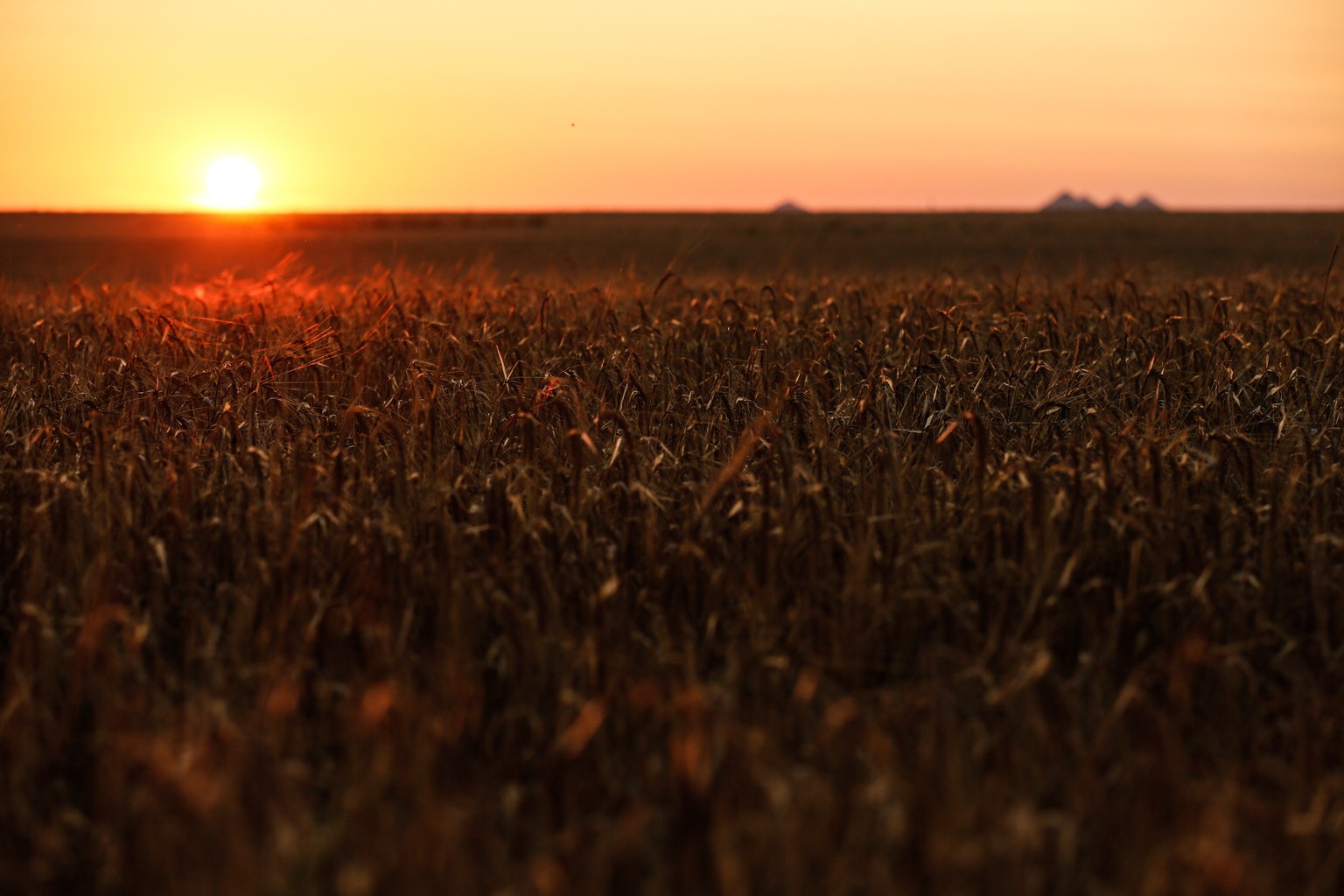 epa10750473 Sunset at a wheat field in the Donetsk region, Ukraine, 16 July 2023. A deal brokered by Turkey and the United Nations to ensure the safe export of grain from Ukrainian ports will expire o ...