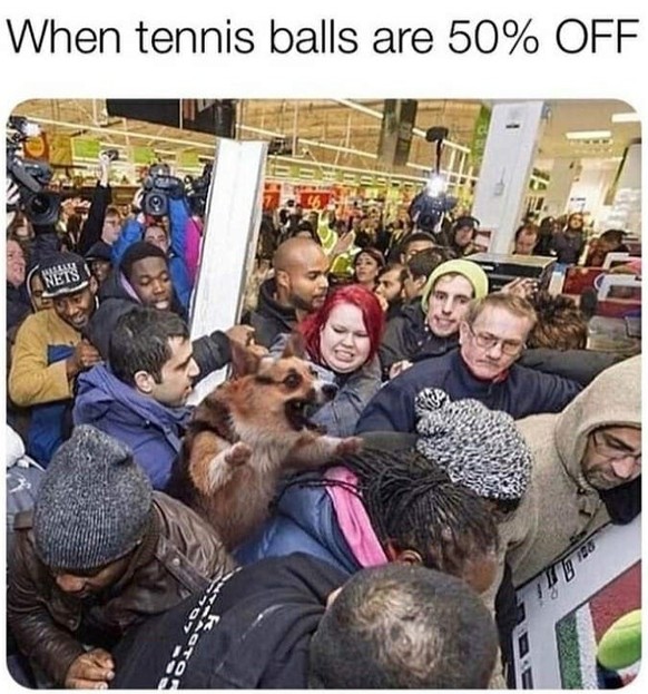 Black Friday Meme