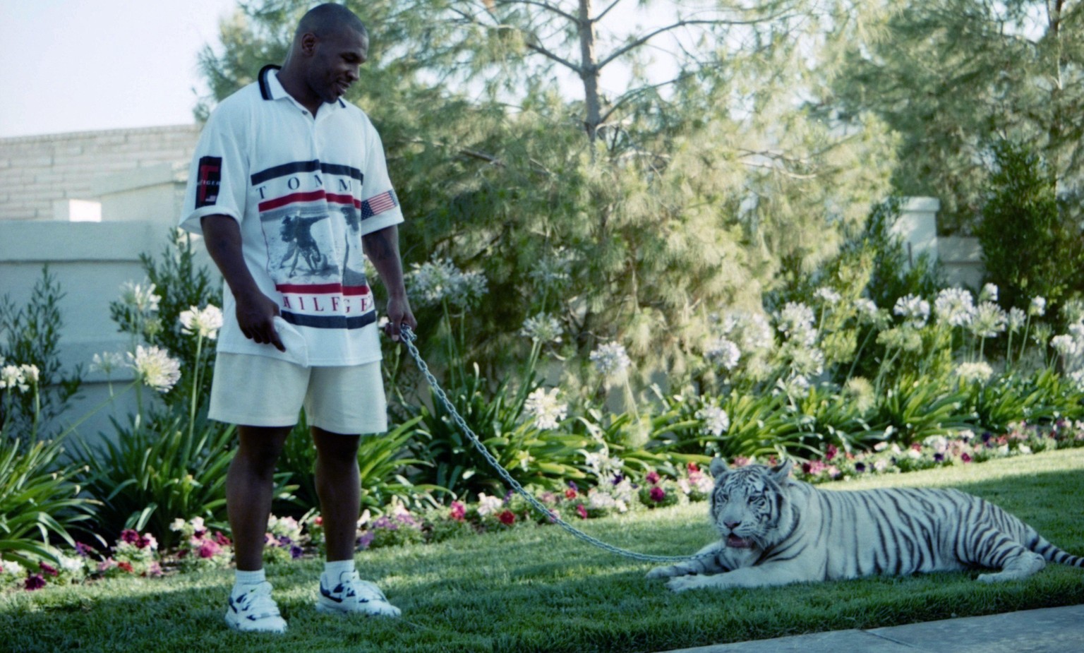 LAS VEGAS - CIRCA 1989: Mike Tyson poses with his white tiger during an interview at his home.
(Photo by: The Ring Magazine via Getty Images)