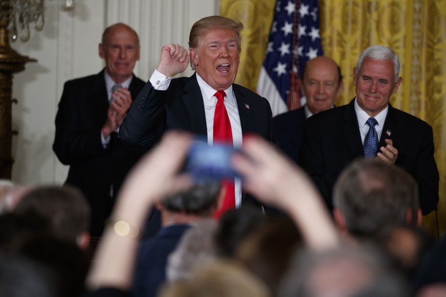 President Donald Trump pumps his fist as he leaves a meeting of the National Space Council in the East Room of the White House, Monday, June 18, 2018, in Washington. (AP Photo/Evan Vucci)