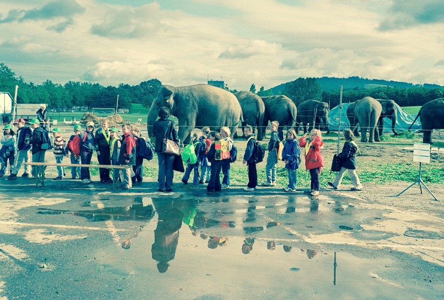 Kinder einer Schulklasse betrachten waehrend ihrer Schulreise die Elefanten des Zirkus Knie, aufgenommen am 25. August 2004 auf der Allmend in Bern. (KEYSTONE/Gaetan Bally) === , === : FILM]