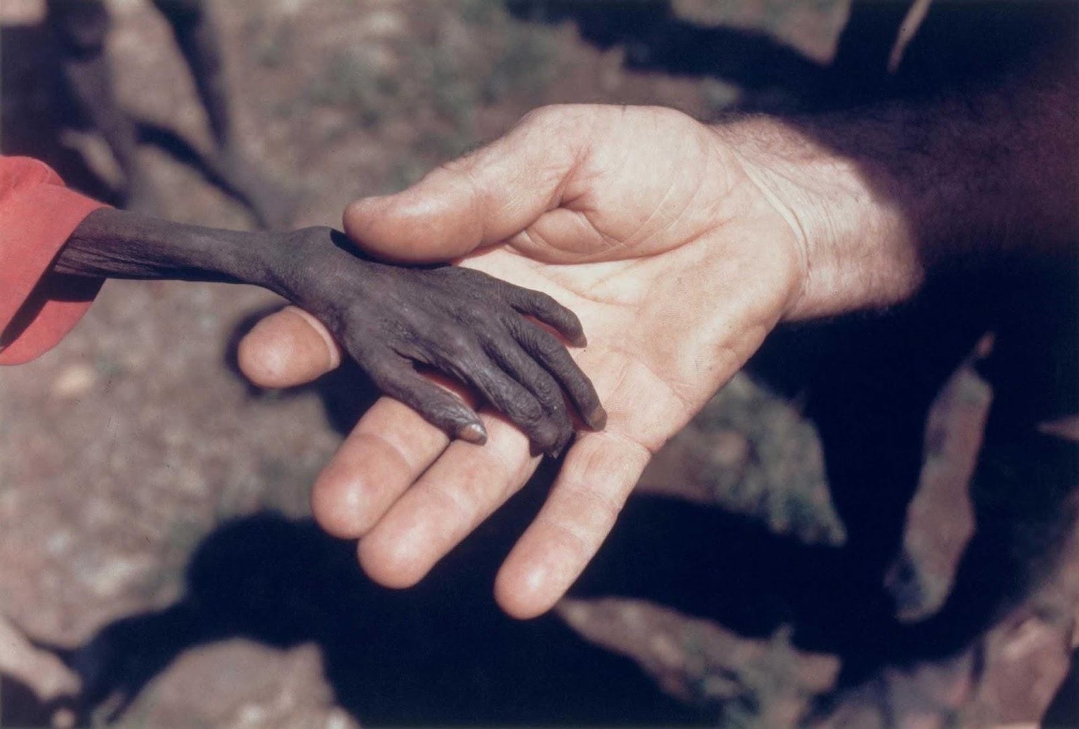 Catholic Missionary Holding the Hand of a Starving Boy – Karamoja, Uganda, 1980