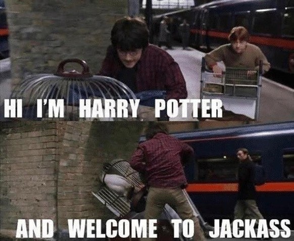 Harry Potter - The best memes about the film series