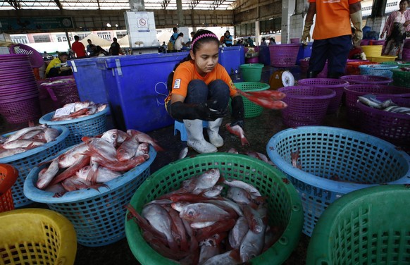 Ein Mädchen auf einem Fischmarkt in Thailand.