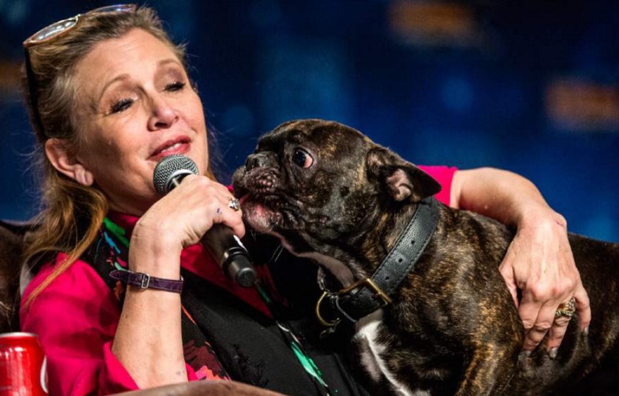 7 überraschende Dinge, die du wahrscheinlich noch nicht über Carrie Fisher gewusst hast