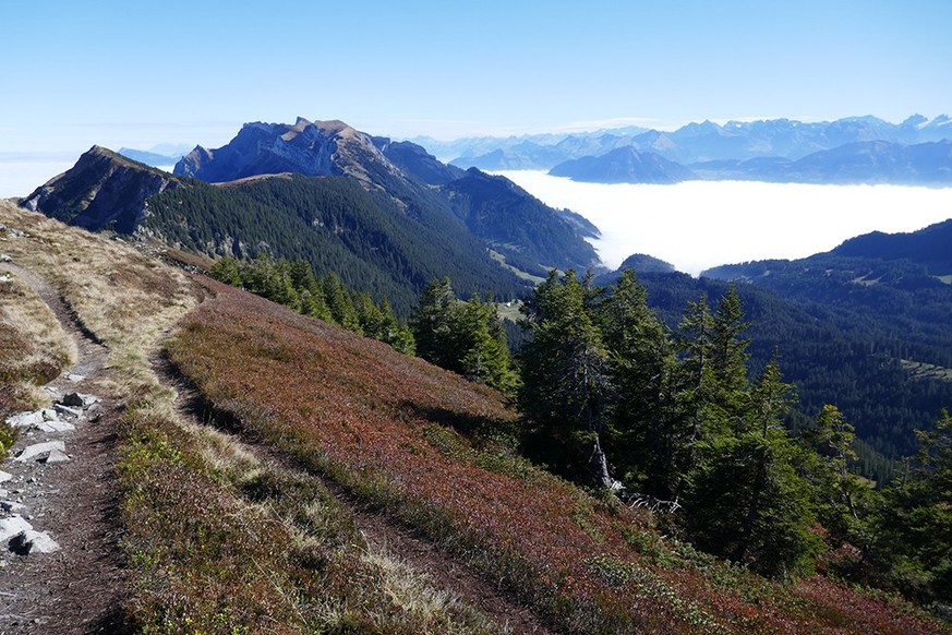RAuszeit Wandern über dem Nebel Schweiz Stäfeliflue