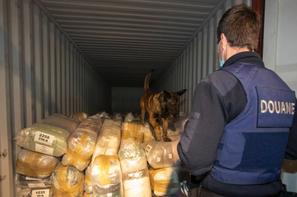Belgische Zollbehörden zeigen, wie sie einen Container durchsuchen.
