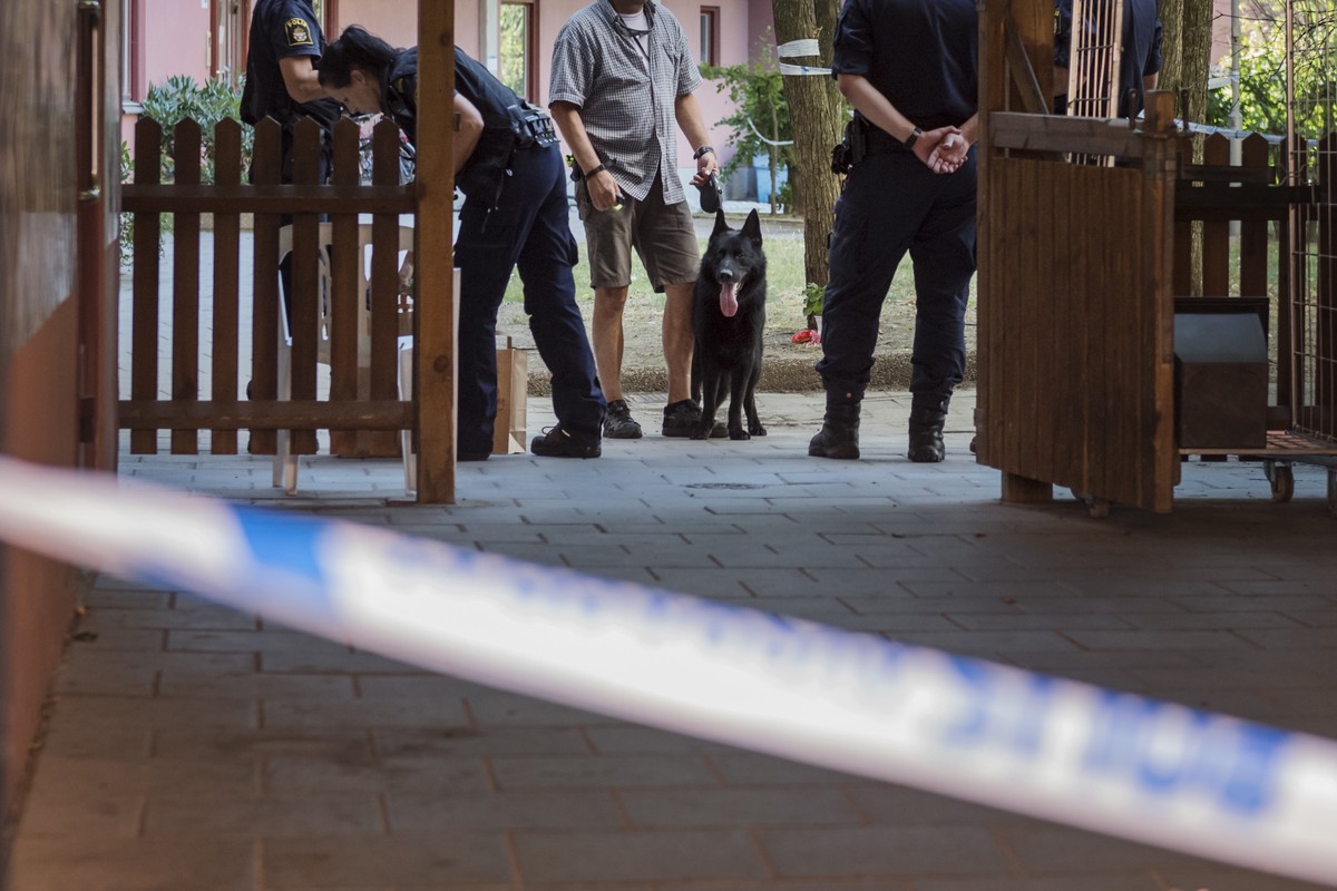 epa06925626 Police technicians search the site where a 20-year-old man was shot and killed by Swedish Police in Stockholm, Sweden, 03 August 2018. According to reports, a young man with a Down's  ...