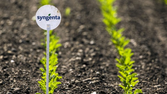 ARCHIVBILD ZUR ZUSTIMMUNG DER UEBERNAHME VON SYNGENTA DURCH CHEMCHINA DURCH DIE AKTIONAERE, AM FREITAG, 5. MAI 2017 - Ein Feld mit jungen Pflanzen und einem Schild mit dem Logo von Syngenta aufgenomme ...