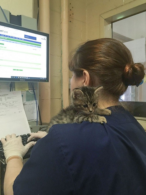 Cute News beim Tierarzt