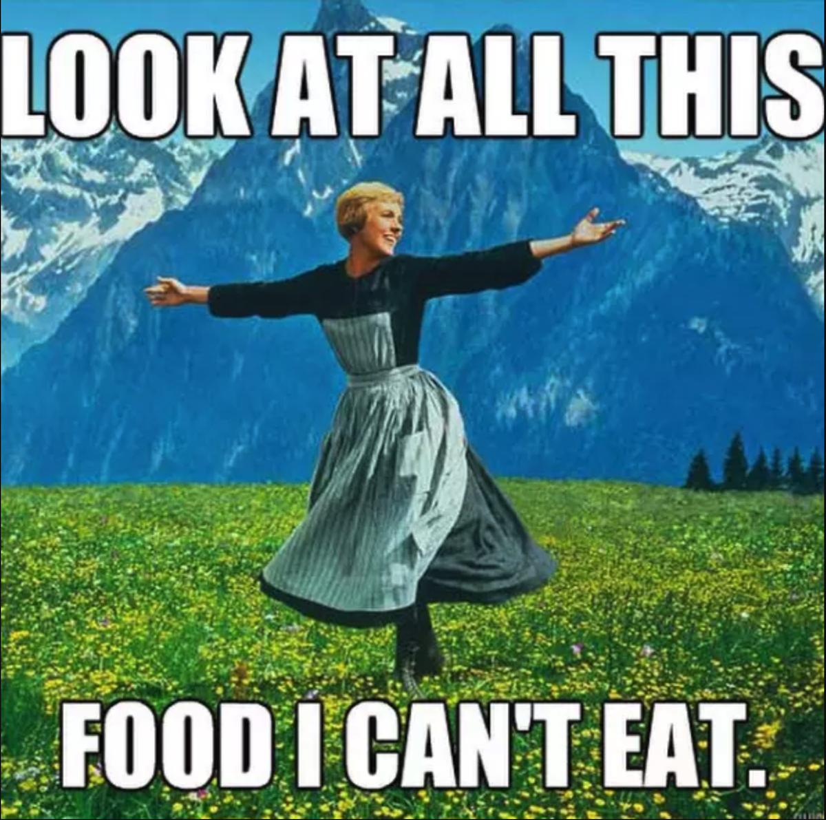 look at all this food I can't eat diät sound of music alpen berge tanzen singen essen food https://img.buzzfeed.com/buzzfeed-static/static/2017-01/4/16/asset/buzzfeed-prod-fastlane-03/sub-buzz-30 ...