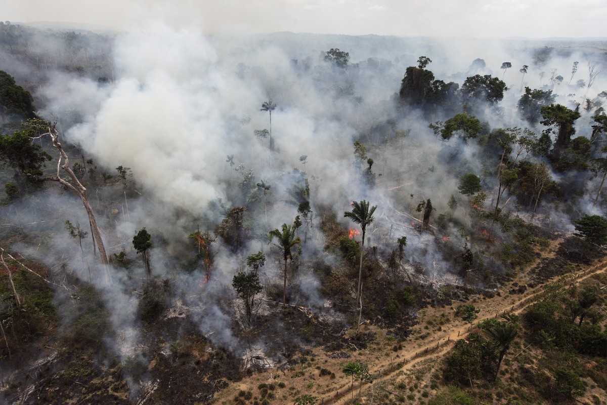 FILE - In this Sept. 15, 2009 file photo, a forest in the Amazon is burned illegally near Novo Progresso, in the northern Brazilian state of Para. Forest degradation in 2017 in Brazil, home to most of ...