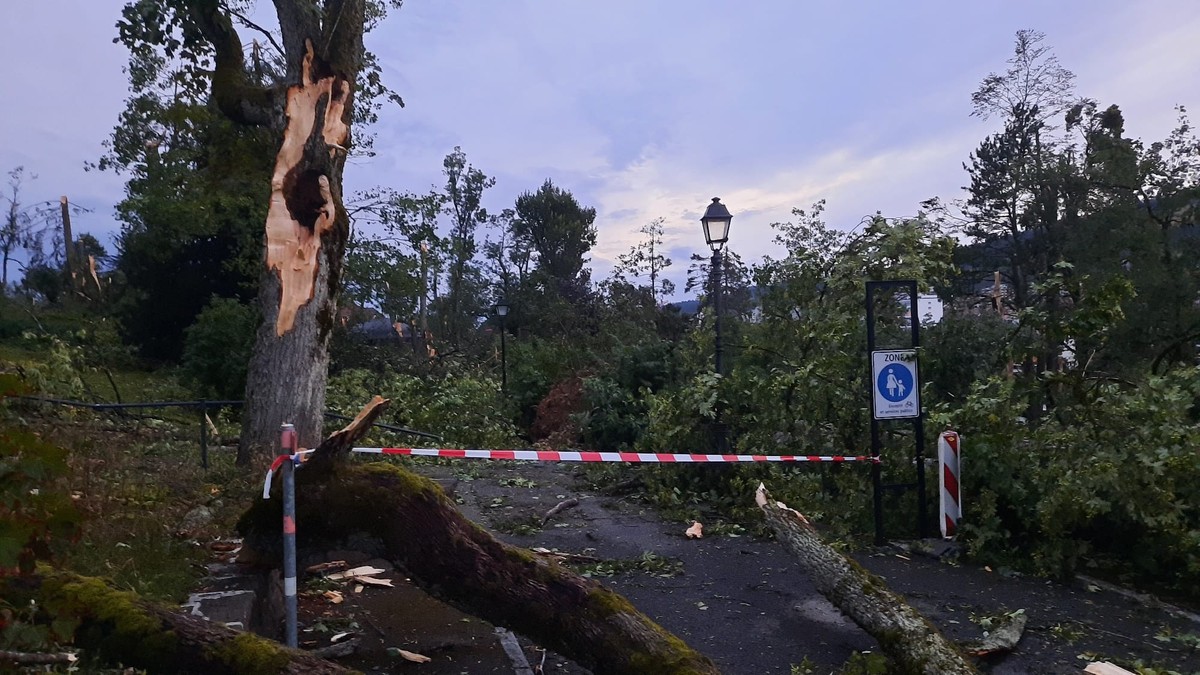 Le Parc de Crêtets à La Chaux-de-Fonds après la tempête du 24 juillet 2023