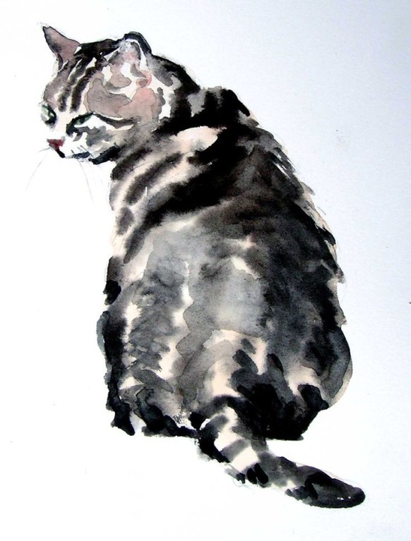 Katzen Wasserfarben
http://indulgy.com/post/jvLyQ7OtC3/watercolour-cat