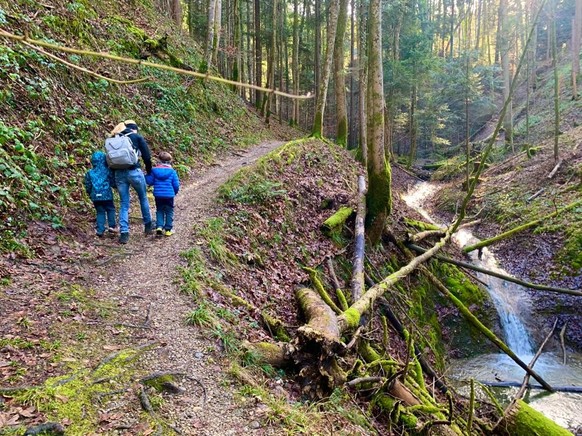 Rauszeit Frühlingswanderungen Chämmerlitobel